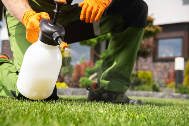 Best Pest Control for Businesses  in Elm Grove, WI