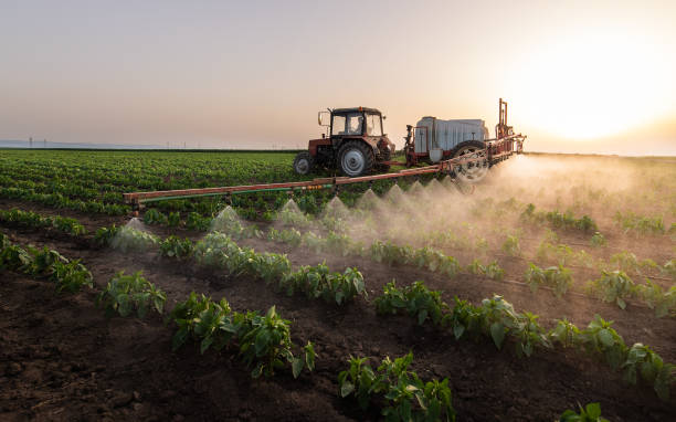 Professional Pest Control in Elm Grove, WI