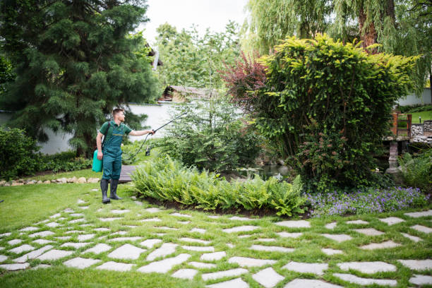 Best Wasp Removal Services  in Elm Grove, WI