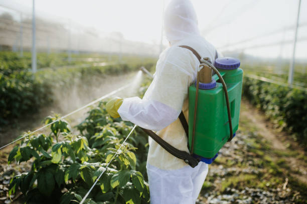 Best Pest Control Near Me in Elm Grove, WI